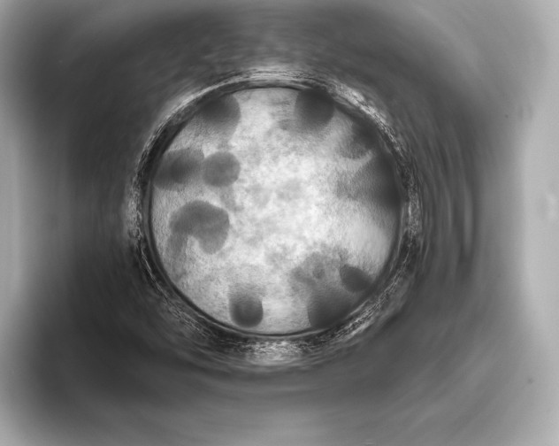 X0000093401454200710260907