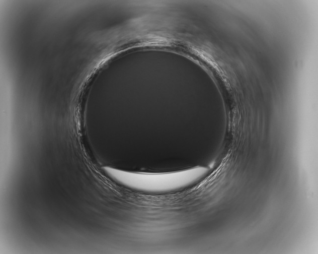 X0000093401455200710260907