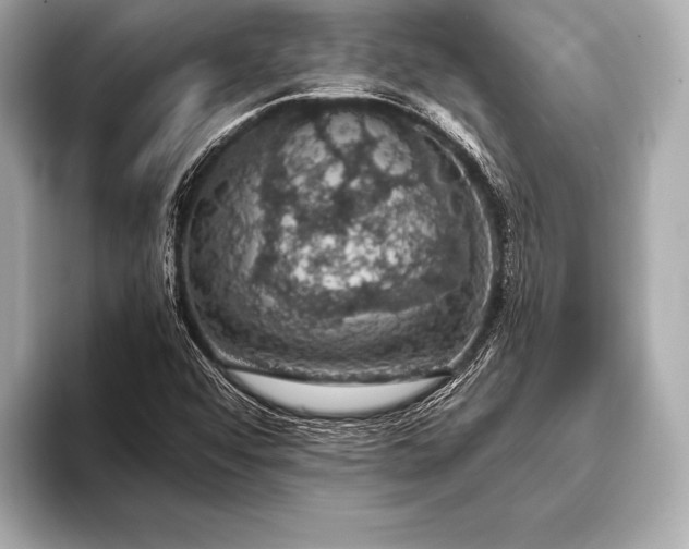 X0000093401456200710260907