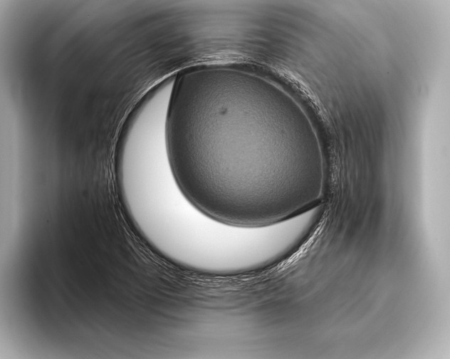 X0000093401457200710260907