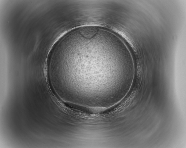 X0000093401460200710260907