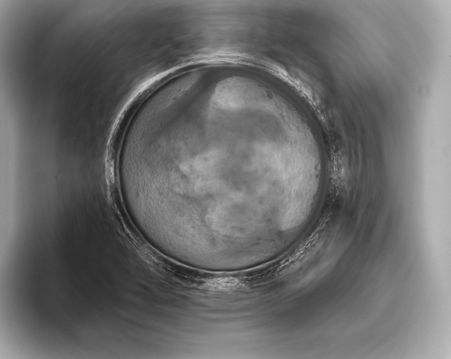 X0000093401462200710260907