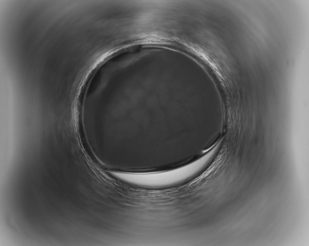 X0000093401463200710260907