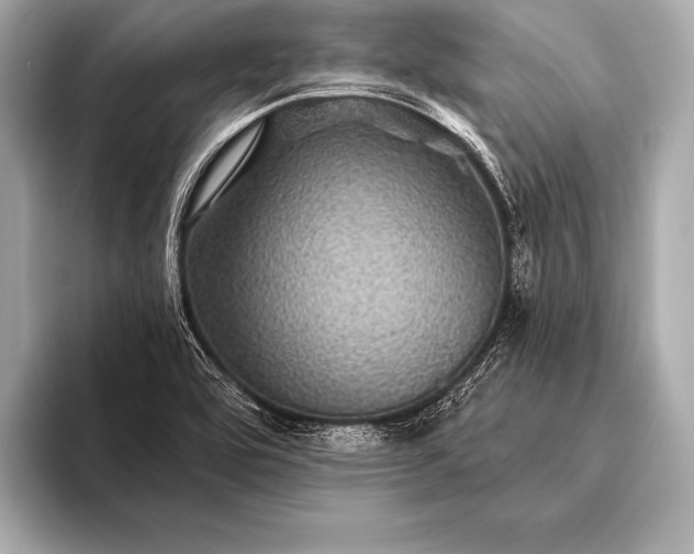 X0000093401464200710260907