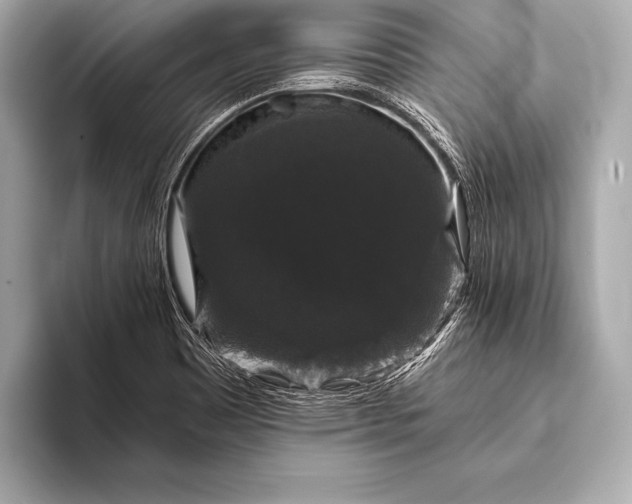 X0000093401465200710260907