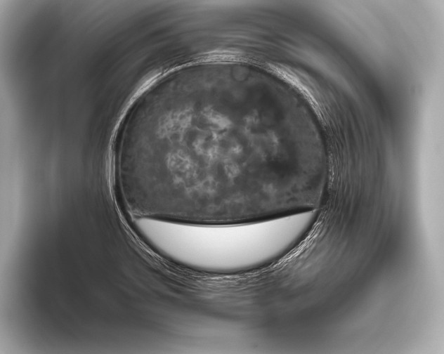 X0000093401467200710260907