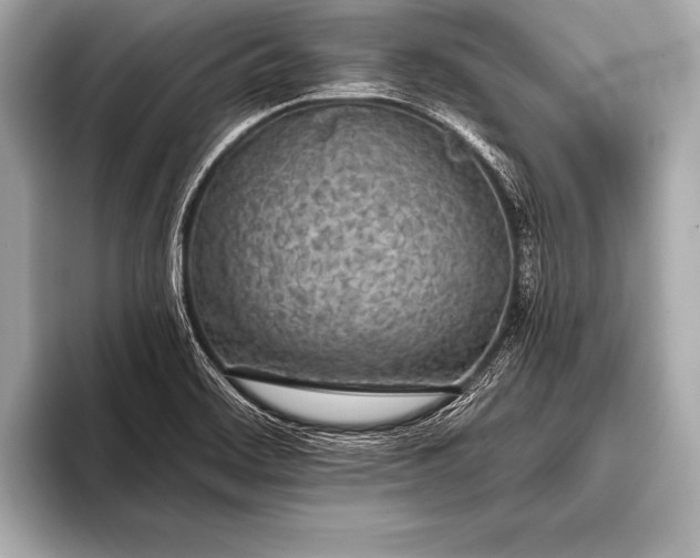 X0000093401468200710260907