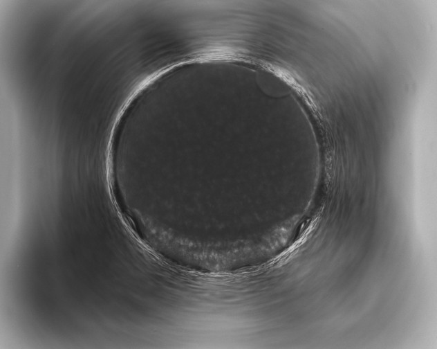 X0000093401469200710260907