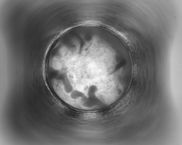 X0000093401470200710260907