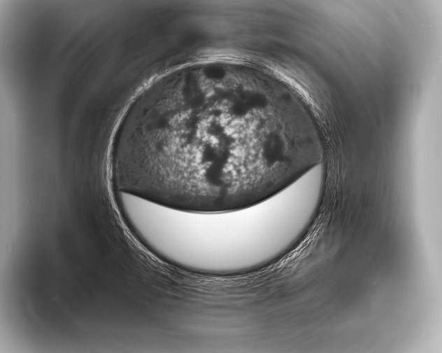 X0000093401471200710260907