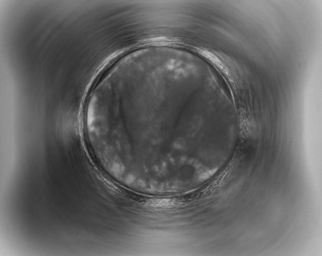 X0000093401474200710260907