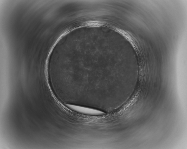 X0000093401475200710260907