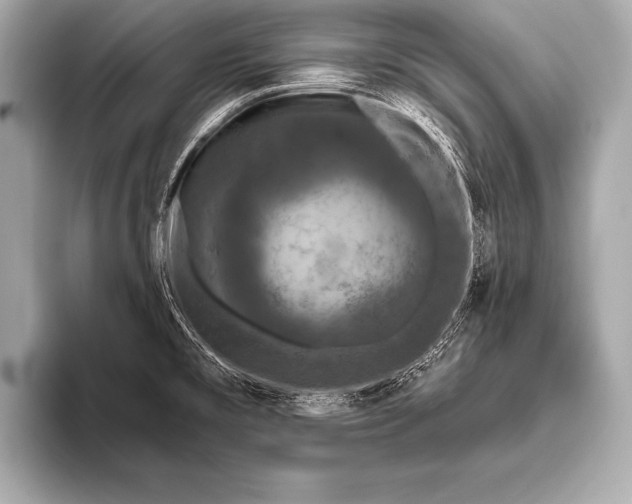 X0000093401477200710260907