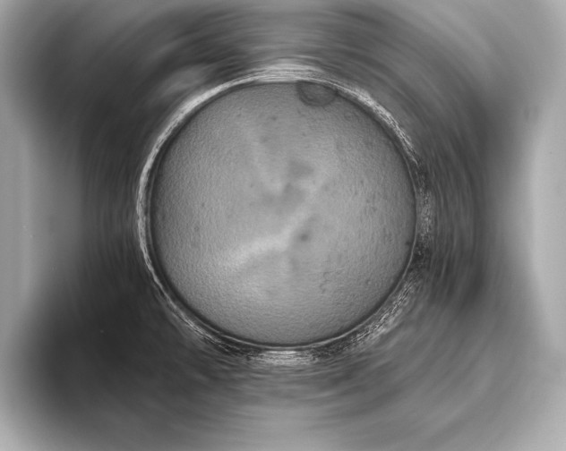 X0000093401478200710260907