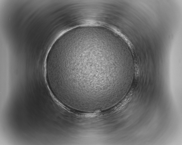 X0000093401479200710260907