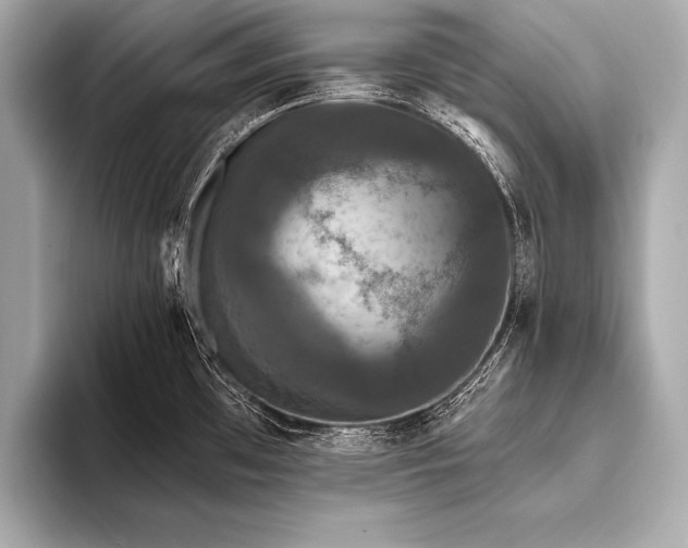 X0000093401481200710260907