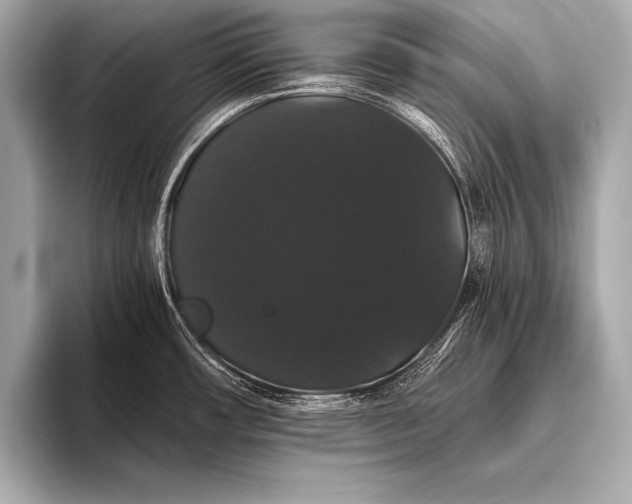 X0000093401482200710260907