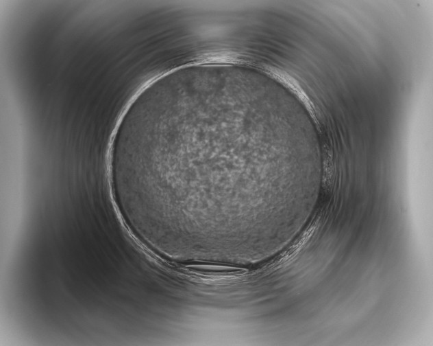 X0000093401483200710260907