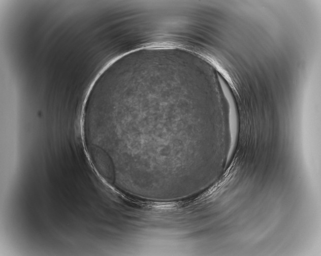 X0000093401484200710260907