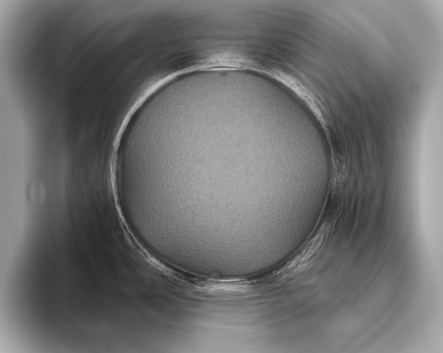 X0000093401486200710260907