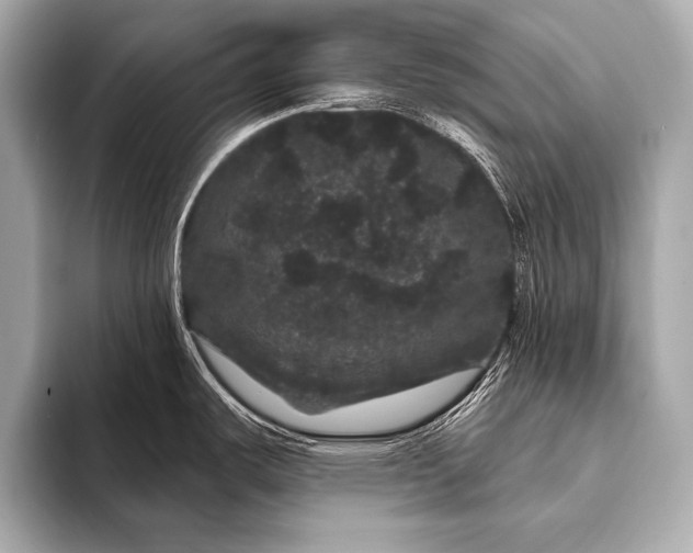 X0000093401487200710260907