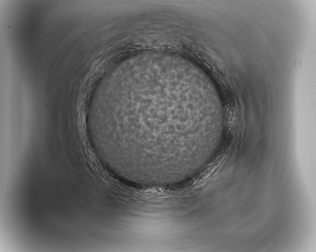 X0000093401489200710260906