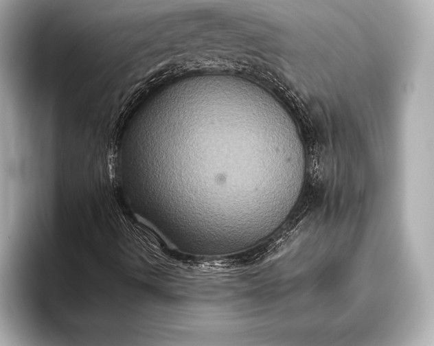 X0000093401490200710260906