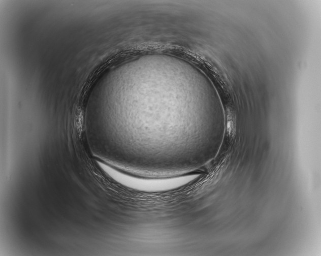 X0000093401492200710260906