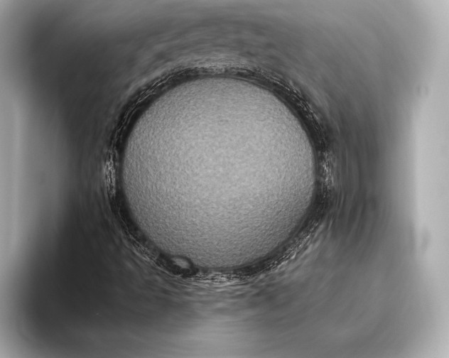 X0000093401493200710260906