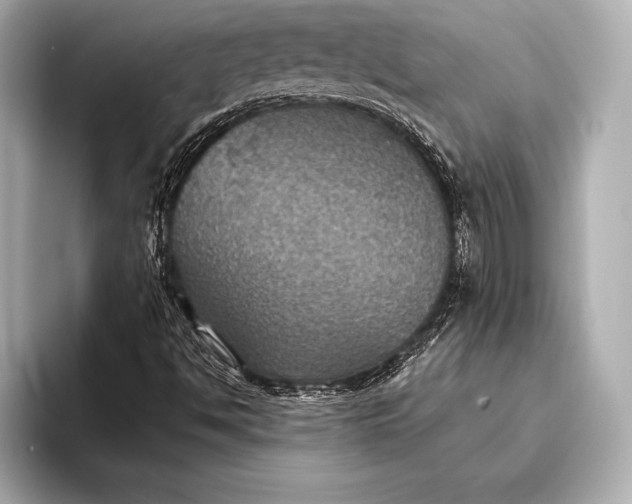 X0000093401494200710260906