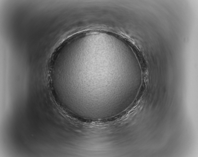 X0000093401496200710260906