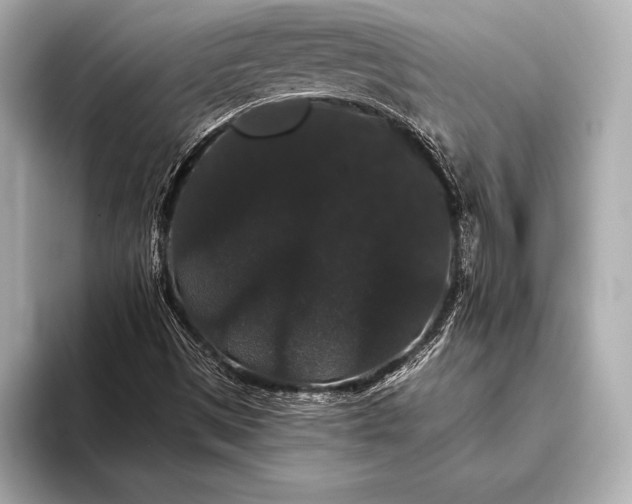 X0000093401497200710260906