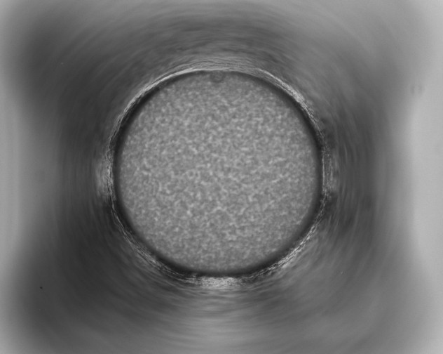 X0000093401498200710260906