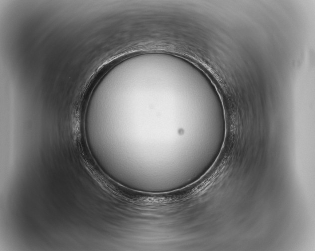 X0000093401499200710260906