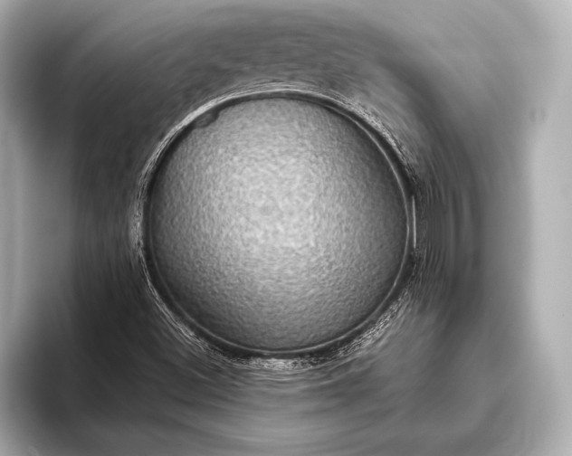 X0000093401500200710260906