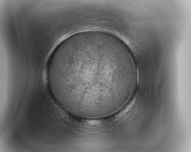 X0000093401501200710260906