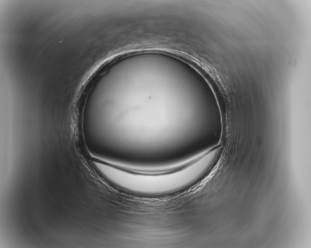 X0000093401502200710260906