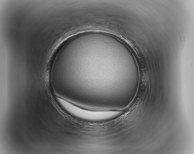 X0000093401503200710260906