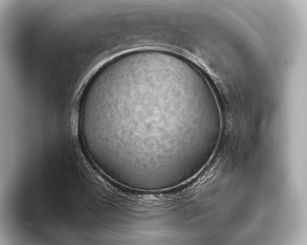 X0000093401504200710260906