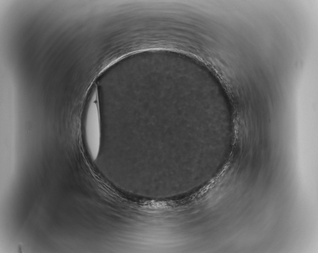 X0000093401505200710260906