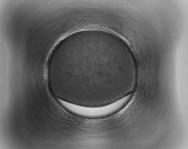 X0000093401506200710260906
