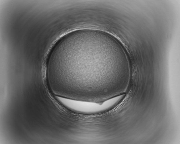 X0000093401507200710260906