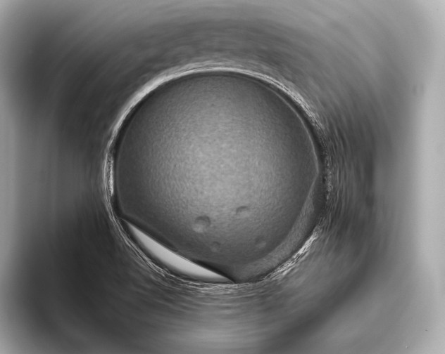 X0000093401510200710260906