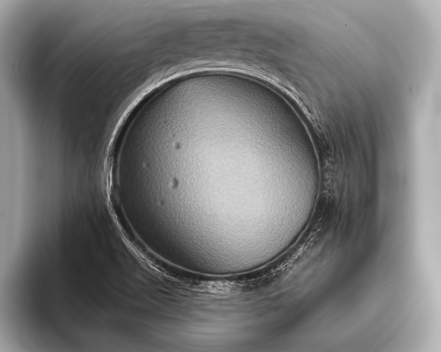 X0000093401511200710260906