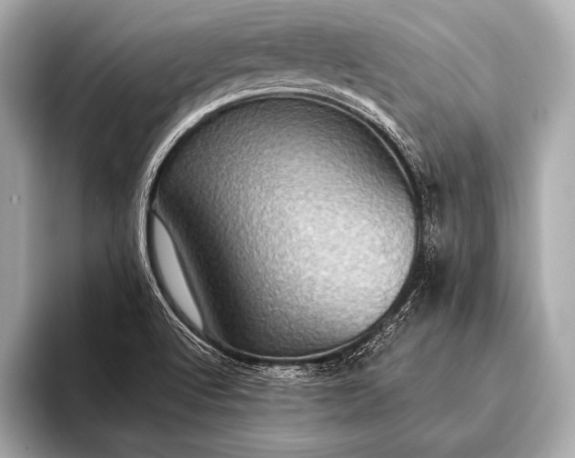 X0000093401512200710260906