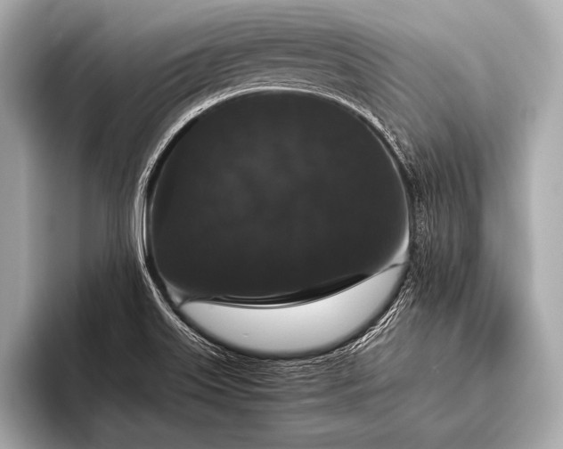 X0000093401515200710260906