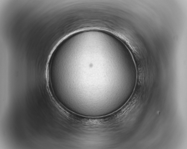 X0000093401516200710260906