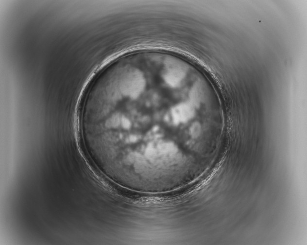 X0000093401517200710260906