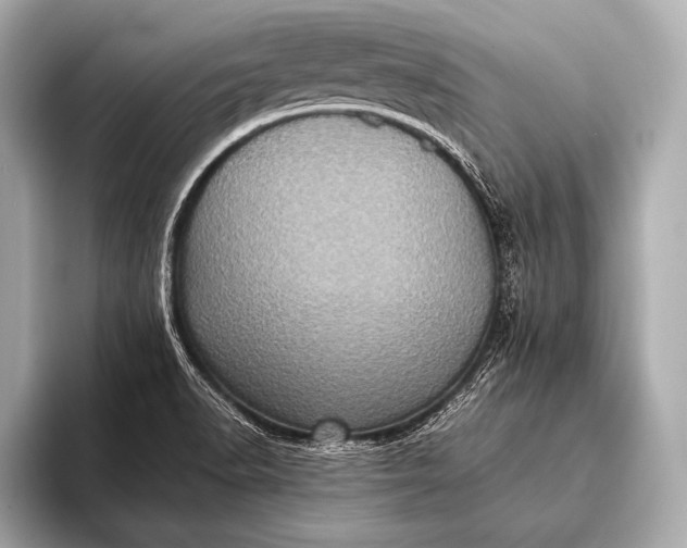 X0000093401518200710260906