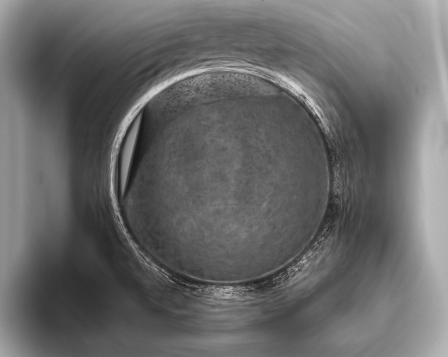 X0000093401520200710260906